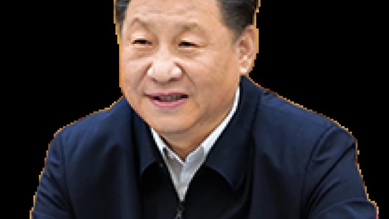 工业添加剂代理：行业标准下的选择之道
